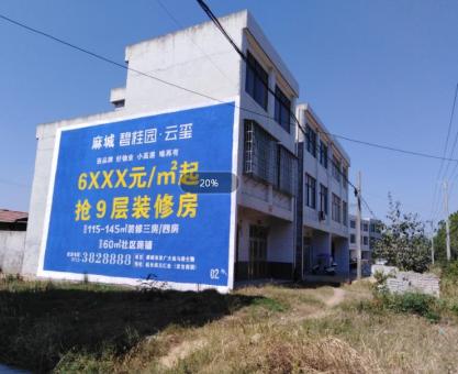 如何策划 南陵墙体广告的投放？