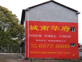  南陵百分之90的人都不了解的农村墙体广告