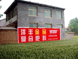  南陵如何让墙体广告展现最大化效果