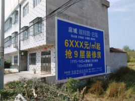  南陵墙体广告质量分析