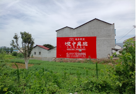  南陵做墙体广告的意义