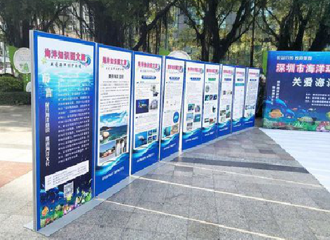  南陵KT板的种类和知识。